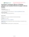 Synergistic Trichogenic Efficacy of Wedelia Chinensis and Cassytha Filiformis Emulgel in Murine Models