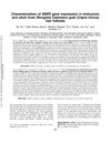 Characterization of BMP2 Gene Expression in Embryonic and Adult Inner Mongolia Cashmere Goat (Capra Hircus) Hair Follicles
