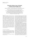 Finasteride Enhances Stem Cell Signals of Human Dermal Papilla Cells