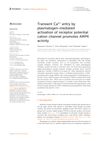 Transient Calcium Entry by Plasmalogen-Mediated Activation of Receptor Potential Cation Channel Promotes AMPK Activity