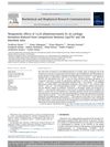 Nongenomic Effects of 1α,25-Dihydroxyvitamin D3 on Cartilage Formation Deduced from Comparisons Between Cyp27b1 and Vdr Knockout Mice