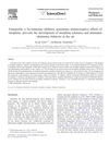 Finasteride, a 5α-Reductase Inhibitor, Potentiates Antinociceptive Effects of Morphine, Prevents the Development of Morphine Tolerance and Attenuates Abstinence Behavior in the Rat