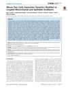Mouse Hair Cycle Expression Dynamics Modeled as Coupled Mesenchymal and Epithelial Oscillators