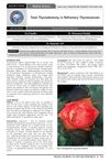 Total Thyroidectomy in Refractory Thyrotoxicosis