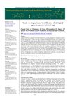Study on Diagnosis and Identification of Etiological Agent in Mycotic Infected Dogs