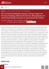 The Bacterial Metabolite, Butyrate, Prolongs Anagen and Promotes Autophagy, Mitochondrial Activity, Melanogenesis and Antimicrobial Peptide Production in Human Scalp Hair Follicles