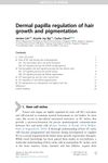Dermal Papilla Regulation of Hair Growth and Pigmentation