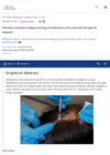 Vibration Assisted Analgesia During Intralesional Corticosteroid Therapy for Alopecia