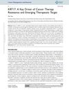 KRT17: A Key Driver of Cancer Therapy Resistance and Emerging Therapeutic Target