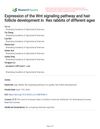 Expression of the Wnt Signaling Pathway and Hair Follicle Development in Rex Rabbits of Different Ages