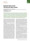 Epithelial Stem Cells: Turning Over New Leaves