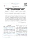 Histopathological and Immunohistochemical Study of Trichoblastoma in the Rabbit