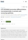 UTX (KDM6A) Promotes Differentiation Noncatalytically in Somatic Self-Renewing Epithelia