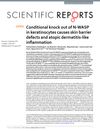 Conditional Knockout of N-WASP in Keratinocytes Causes Skin Barrier Defects and Atopic Dermatitis-Like Inflammation