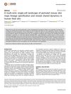A Multi-Omic Single-Cell Landscape of Perinatal Mouse Skin Maps Lineage Specification and Reveals Shared Dynamics in Human Fetal Skin