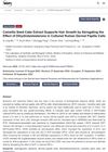 Camellia Seed Cake Extract Supports Hair Growth by Abrogating the Effect of Dihydrotestosterone in Cultured Human Dermal Papilla Cells