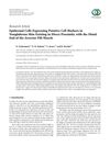 Epidermal Cells Expressing Putative Cell Markers in Nonglabrous Skin Near the Distal End of the Arrector Pili Muscle