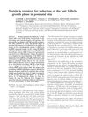Noggin Is Required for Induction of the Hair Follicle Growth Phase in Postnatal Skin