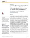 Comparative Transcriptome Analysis of Fetal Skin Reveals Key Genes Related to Hair Follicle Morphogenesis in Cashmere Goats