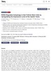 RORA Regulates Autophagy in Hair Follicle Stem Cells by Upregulating the Expression Level of the Sqstm1 Gene