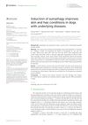 Induction of Autophagy Improves Skin and Hair Conditions in Dogs with Underlying Diseases