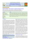 Cyperus Rotundus L.: Phytochemistry and Pharmacological Activities