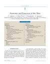 Anatomy and Function of the Skin