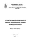 Characterization And Neural Differentiation In Vitro Of Stem Cells From Human Deciduous Tooth Pulp
