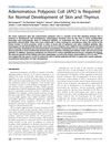 Adenomatous Polyposis Coli (APC) Is Required for Normal Development of Skin and Thymus