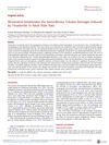Resveratrol Ameliorates the Seminiferous Tubules Damages Induced by Finasteride in Adult Male Rats