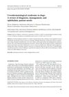 Uveodermatological Syndrome in Dogs: A Review of Diagnosis, Management, and Ophthalmic Patient Needs