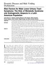 Risk Factors for Male Lower Urinary Tract Symptoms: The Role of Metabolic Syndrome and Androgenetic Alopecia in a Latin American Population