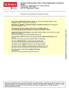 The Role of Stromal Stem Cells in Tissue Regeneration and Wound Repair