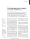 Epidermal Homeostasis: A Balancing Act of Stem Cells in the Skin