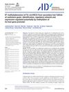 N6-Methyladenosine (m6A)-circHECA From Secondary Hair Follicle of Cashmere Goats: Identification, Regulatory Network and Expression Regulated Potentially by Methylation of Its Host Gene Promoter