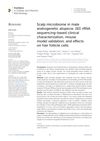 Scalp Microbiome in Male Androgenetic Alopecia: 16S rRNA Sequencing-Based Clinical Characterization, Mouse Model Validation, and Effects on Hair Follicle Cells