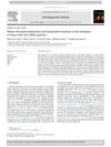 Planar Cell Polarity-Dependent and Independent Functions in the Emergence of Tissue-Scale Hair Follicle Patterns
