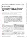 Lineage Potential, Plasticity, and Environmental Reprogramming of Epithelial Stem/Progenitor Cells