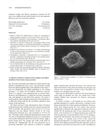 An Efficient Method for Isolation of Hair Papillae and Follicle Epithelium from Human Scalp Specimens