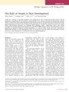 The Role of Smads in Skin Development