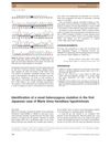 Identification of a Novel Heterozygous Mutation in the First Japanese Case of Marie Unna Hereditary Hypotrichosis