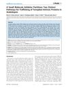 A Small Molecule Inhibitor Partitions Two Distinct Pathways for Trafficking of Tonoplast Intrinsic Proteins in Arabidopsis