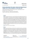 Erosive Palmoplantar Lichen Planus: Clinical and Histopathological Insights from an Ethnic Population of North-East India