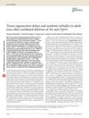 Tissue Regenerative Delays and Synthetic Lethality in Adult Mice After Combined Deletion of ATR and TRP53
