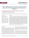 HPLC Profiling and In Silico Studies of Chochurus Olitoris (Jute) Leaf Fractions Against Steroid 5α-Reductase 2 (SRD5α2)