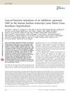 Loss-Of-Function Mutations of an Inhibitory Upstream ORF in the Human Hairless Transcript Cause Marie Unna Hereditary Hypotrichosis