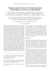 Human Keratinocytes Derived from the Bulge Region of Hair Follicles Are Refractory to Differentiation