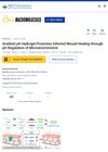 Gradient pH Hydrogel Promotes Infected Wound Healing Through pH Regulation of Microenvironment