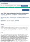 Whole Blood Transcriptome Profiling Identifies Candidate Genes Associated With Alopecia in Male Giant Pandas