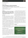 Clinical Pathology in Equine Dermatology